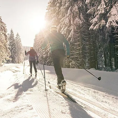 Ferienhaus Lebensquelle Holiday home Klaffer am Hochficht